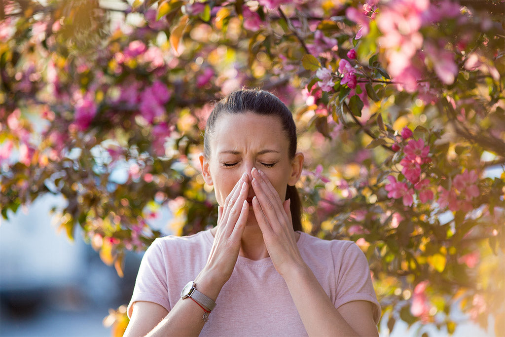 Can Allergies Make You Tired? 5 Tips For Creating An Allergy-Proof Bedroom