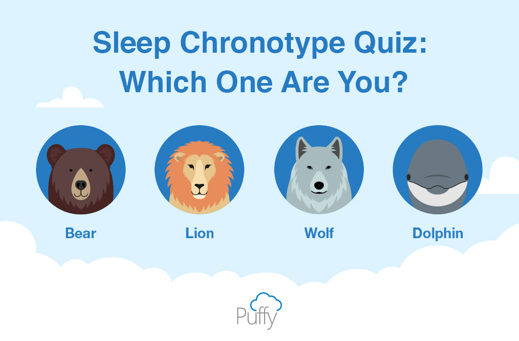 Sleep Chronotype Quiz: Bear, Dolphin, Wolf Or Lion?