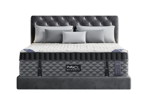 Puffy Monarch Mattress